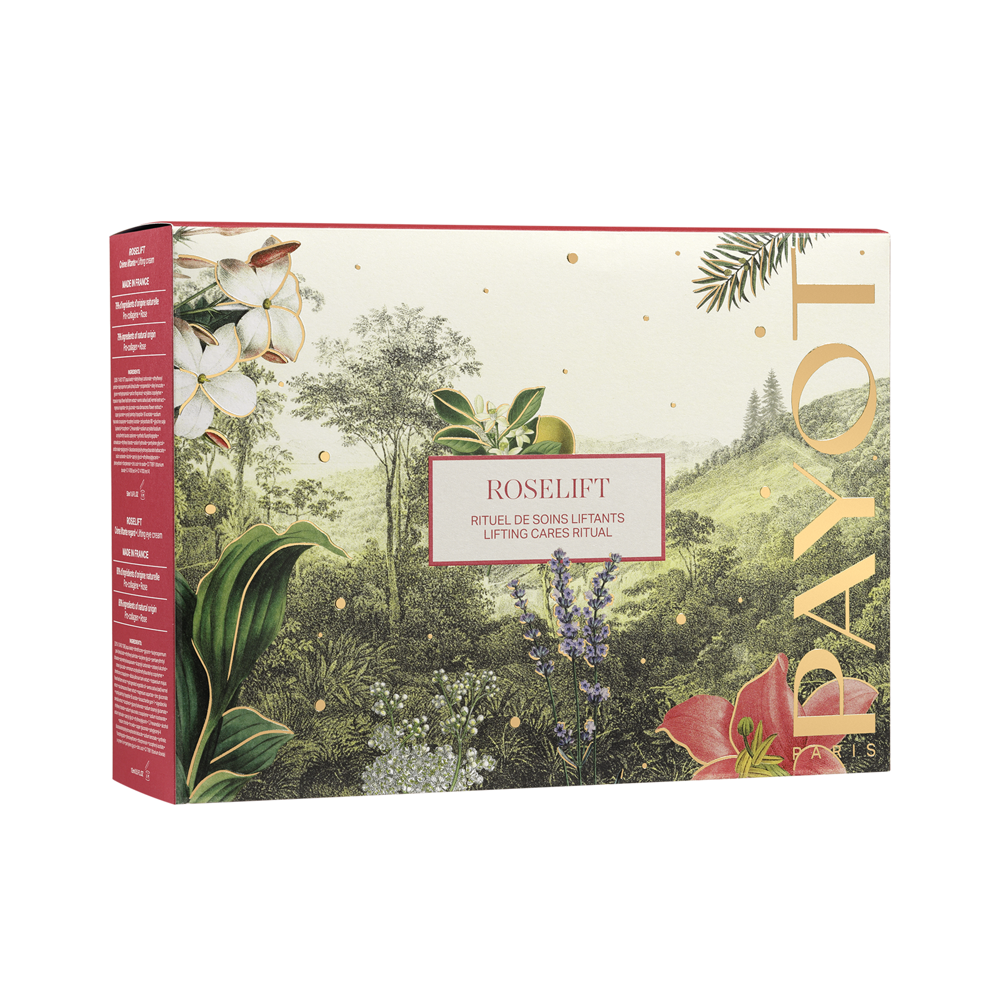 日本初の SHIGETAPARIS Coffret sur S de Coffret Noël sucré Noel2023